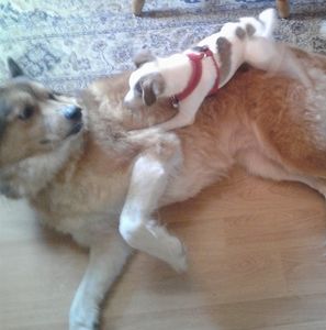 Meet your Posher, Matthew